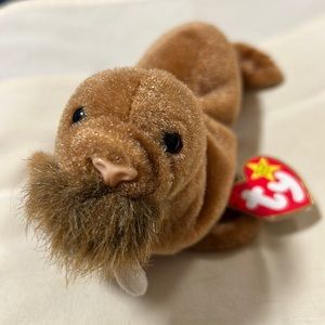 Paul the Walrus Beanie Baby